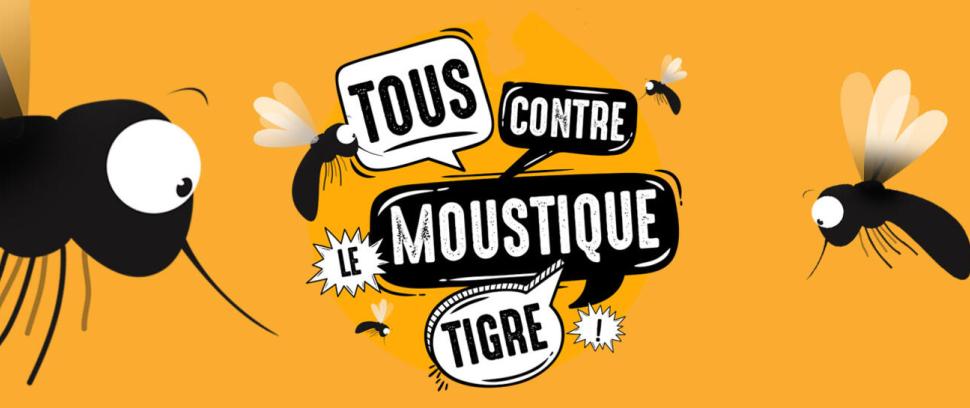 Moustique tigre : restons vigilants
