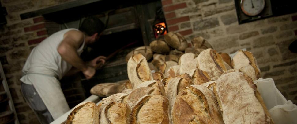 Commerces & entreprises