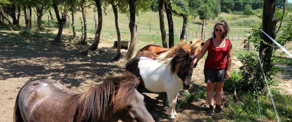 A cheval