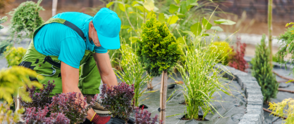 Espaces verts et propreté