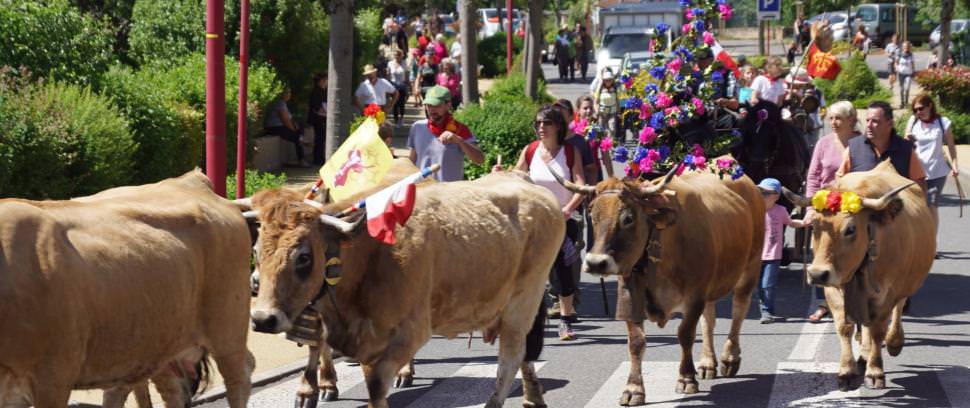 71e année de Transhumance Bozouls