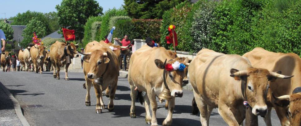 Transhumance 2022 à Bozouls