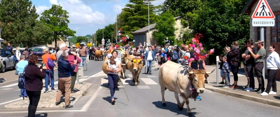 Transhumance à Bozouls 2025