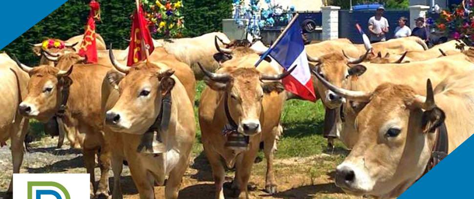 Transhumance 2023 à Bozouls