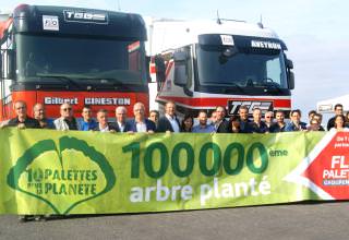 TGG a planté le 100 000ème arbre