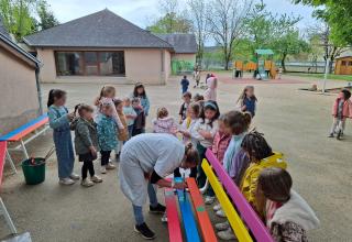 De la couleur dans la cour !
