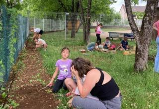 Le travail du jardin au printemps 2025