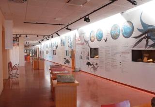 Radio Arsène La vie sur Terre