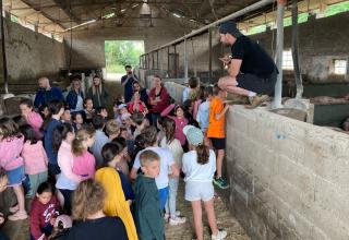 Les CE1-CE2 visitent la ferme de Mayrinhac.