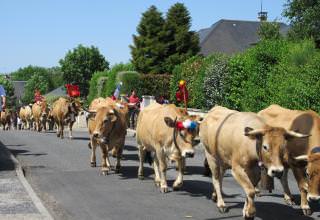 Transhumance 2022 à Bozouls