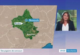 L'exposition avicole sur France 3