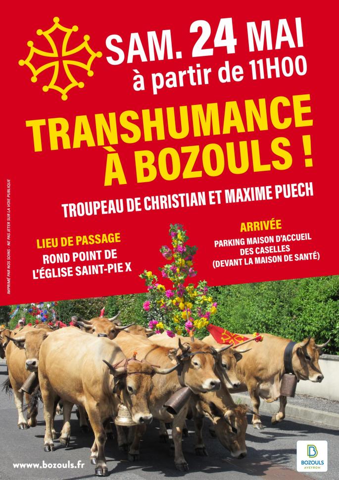 Transhumance Bozouls 2025
