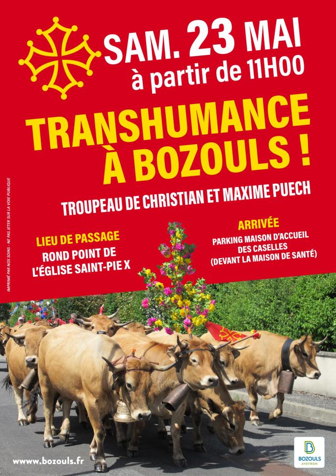 Affiche Transhumance