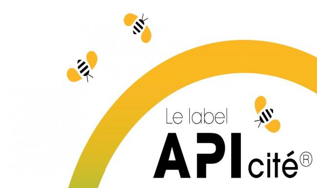 apicité