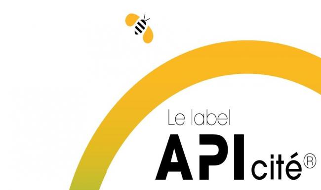 apicité