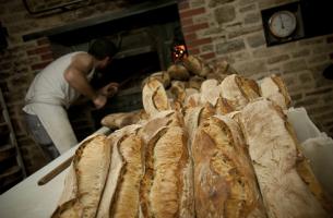 Commerces & entreprises