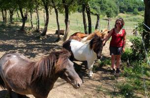 A cheval